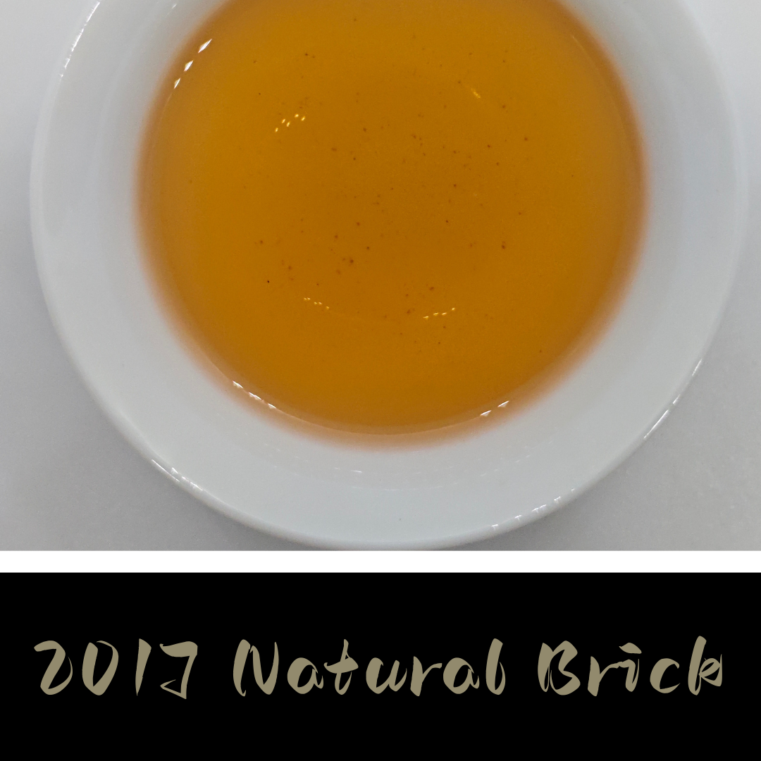 2017 Anhua Natural Brick – One River Tea