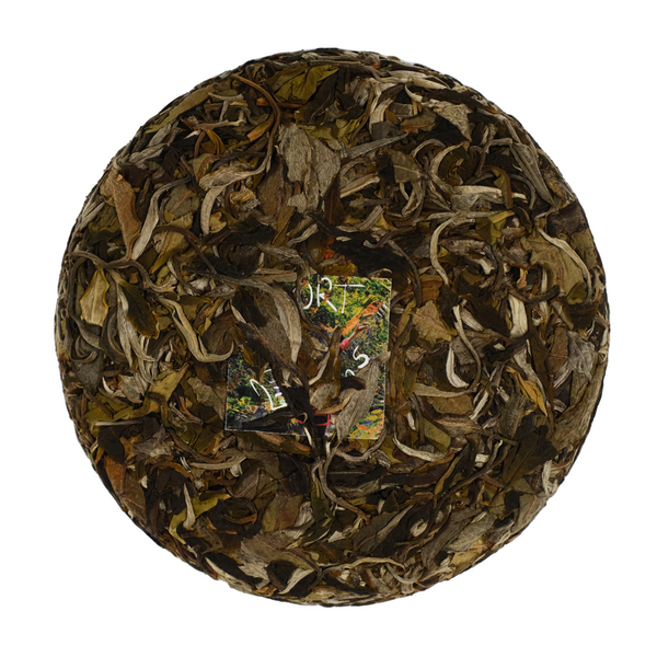 Forbidden Fruit | Yunnan White Tea