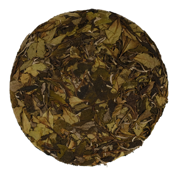 Gatekeeper | 2022 Gongmei White