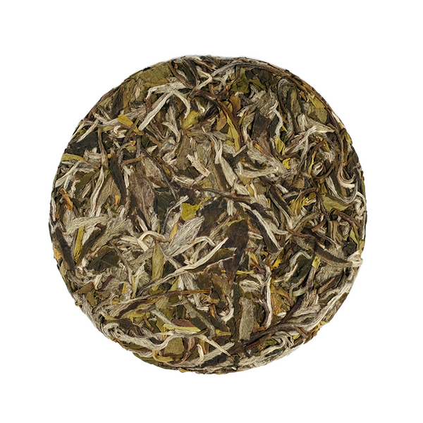 Grandmother Mountain 2.5