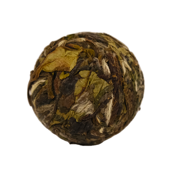 Gatekeeper | 2022 Mini