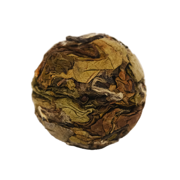 Smuggler's Cove | Mini