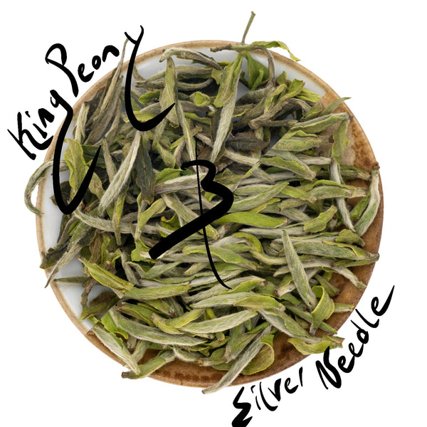 Silver Buds: A White Tea Collection