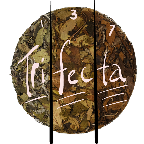 Trifecta: Aged White Tea Treasure Box