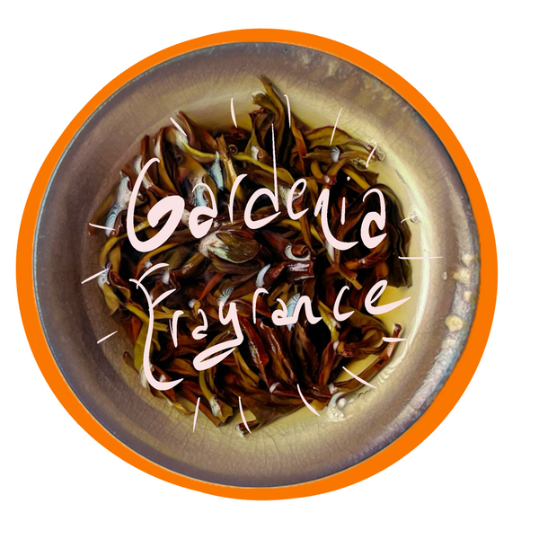 Gardenia Fragrance Dancong