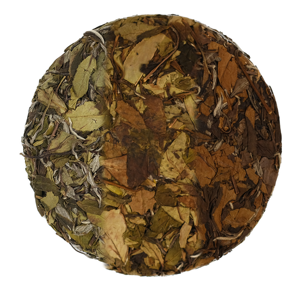 Trifecta: Aged White Tea Treasure Box