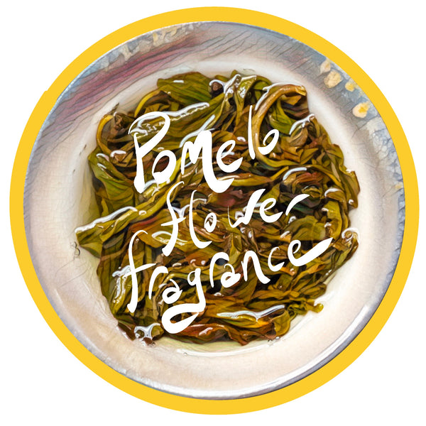 Pomelo Flower Fragrance Dancong