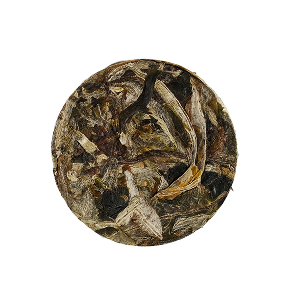 Forbidden Fruit | Yunnan White Tea Coin