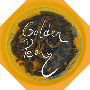 Golden Peony