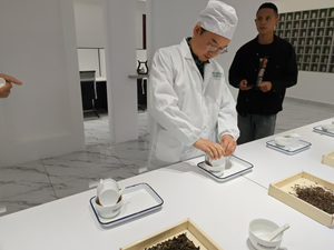 Chinese Tea Tasting Guide : Introduction