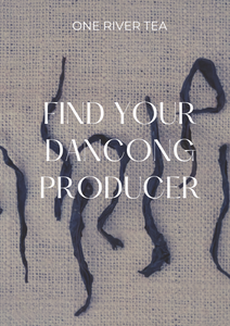 Finding Your Dancong Producer