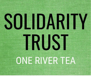 Solidarity Trust Deep Dive