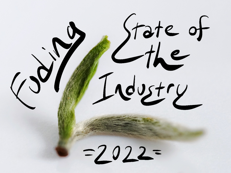Fuding White Tea: State of the Industry Spring 2022