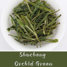 gg 2026: Guyu Green Sampler