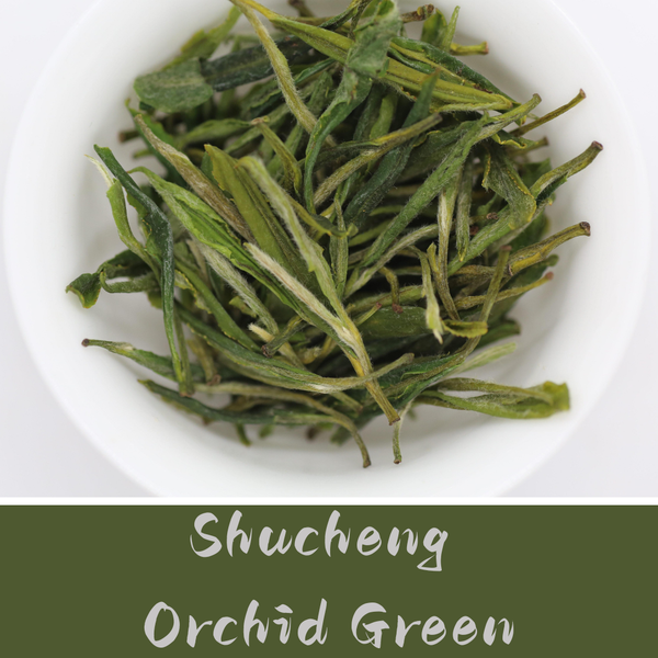 Shucheng Orchid Green