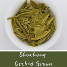 gg 2026: Guyu Green Sampler