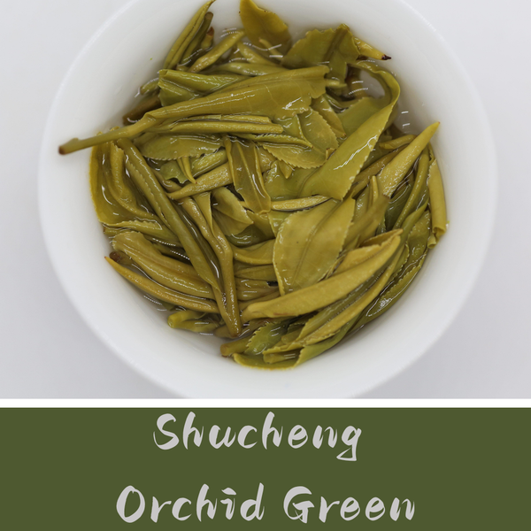 Shucheng Orchid Green
