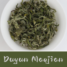 gg 2026: Guyu Green Sampler