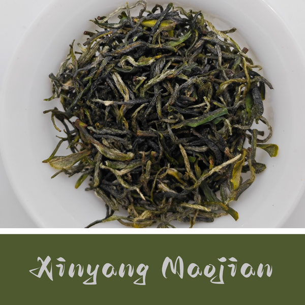 Xinyang Maojian
