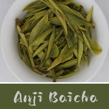 gg 2026: Guyu Green Sampler