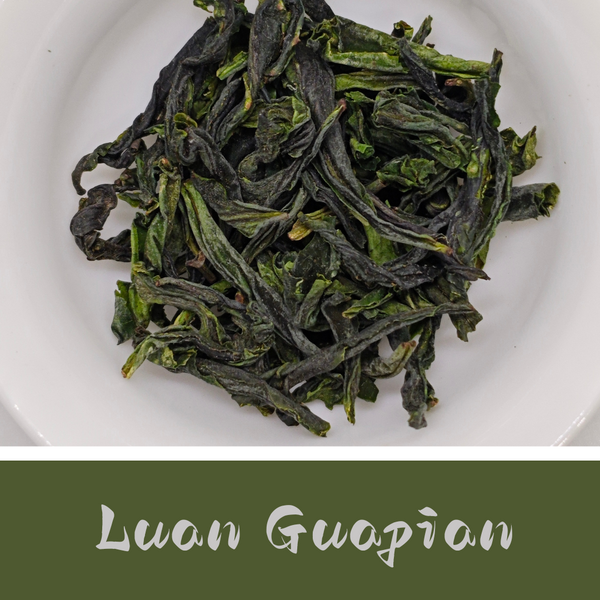 Lu'an Guapian