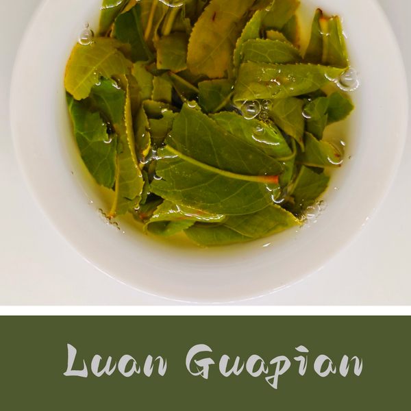 Lu'an Guapian