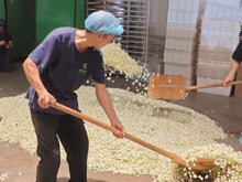 Jasmine Pearls