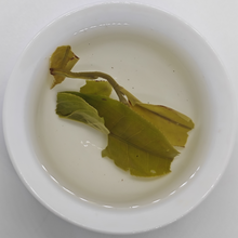 Chunjian Shaigan