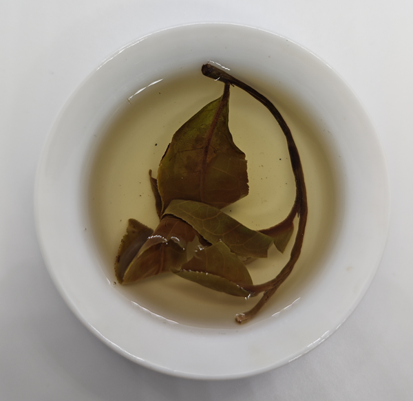Bulang Arbor White