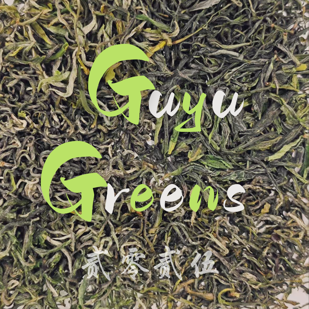 Guyu Green Tea Collection – One River Tea