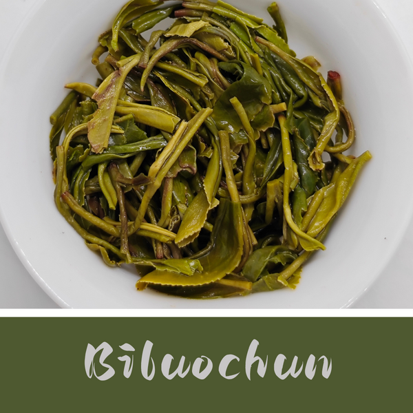 Biluochun