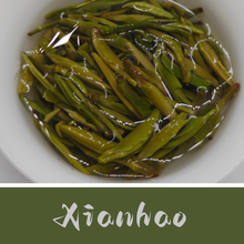 First Pick: Xianhao Presale