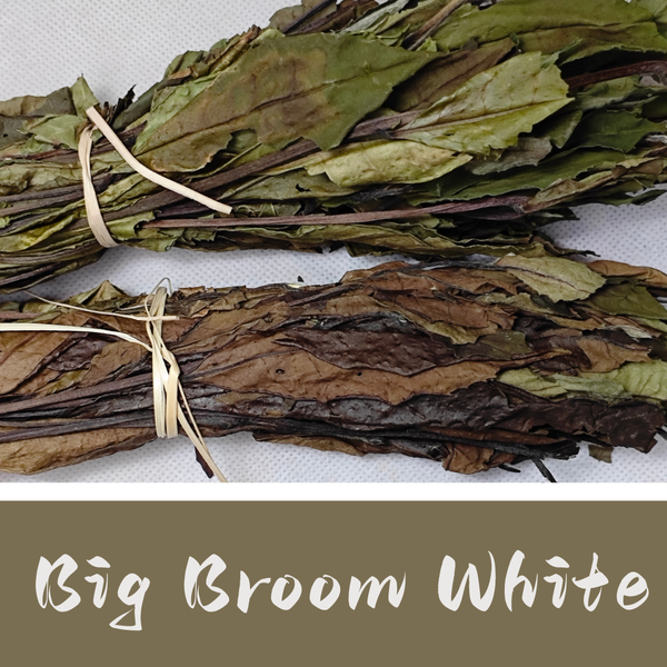Big Broom White