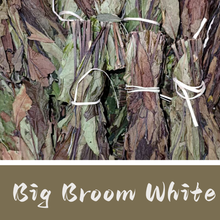 Big Broom White