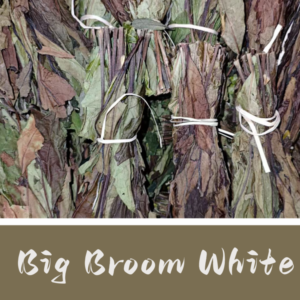 Big Broom White