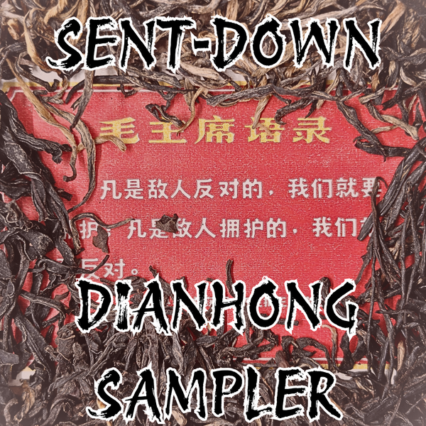 Sent-Down: Dianhong Sampler