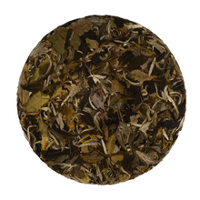 Forbidden Fruit | Yunnan White Tea