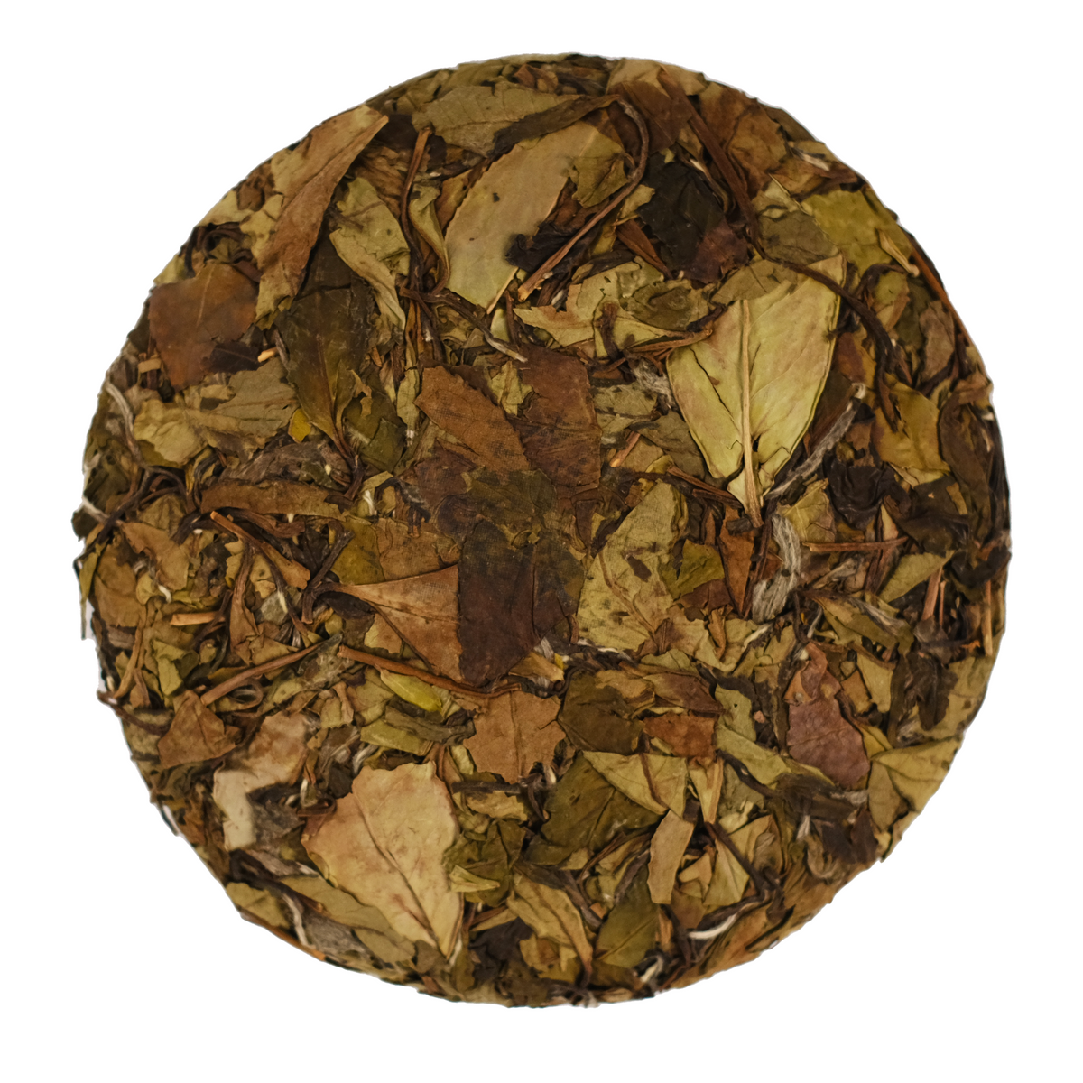 Trifecta: Aged White Tea Treasure Box Old Shoumei – One River Tea
