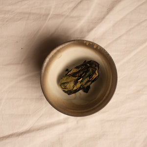 Milk White Tea Dumpling