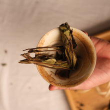 Milk White Tea Bundle