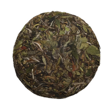 Baikeng Caicha: Winter 2026 Solidarity Cake