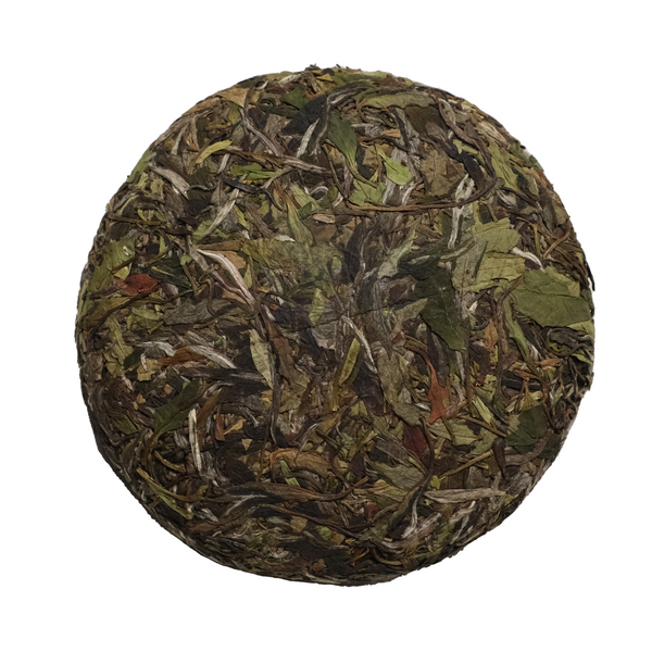 Baikeng Caicha: Winter 2026 Solidarity Cake