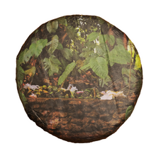 Temenos | Bada White Tea