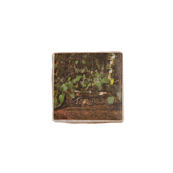 Temenos | Bada White Tea Mini
