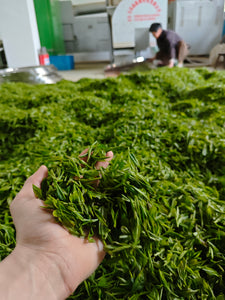 Teasider August 2025 Wholesale