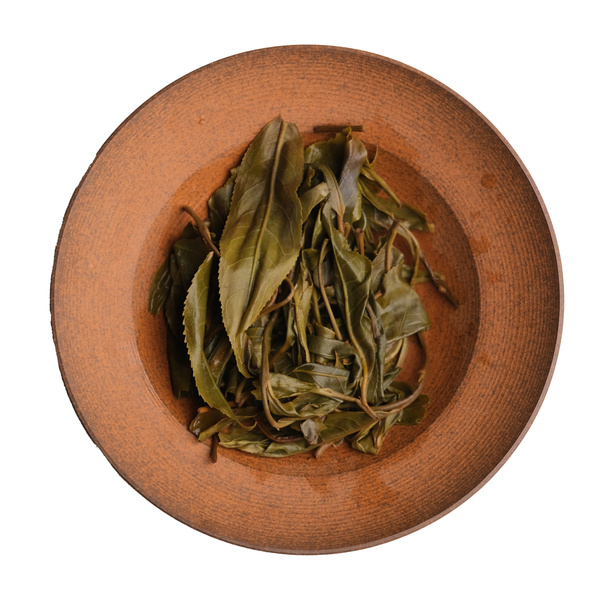 Gua Feng Zhai | Gushu Maocha