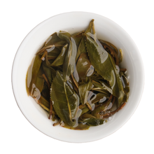 Gua Feng Zhai | Gushu Maocha