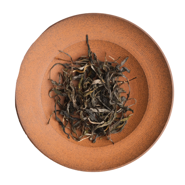 Gua Feng Zhai | Gushu Maocha