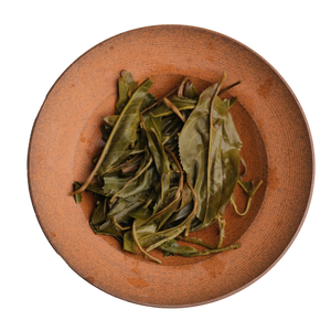 Xigui | Gushu Maocha – One River Tea