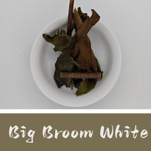 Big Broom White